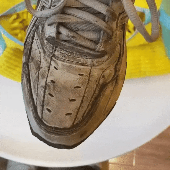 Bolsa Protectora para lavar Zapatillas